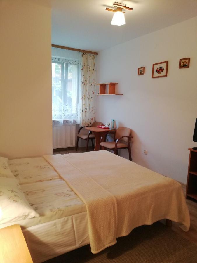 Arnika Apartment Krynica-Zdrój Habitación foto